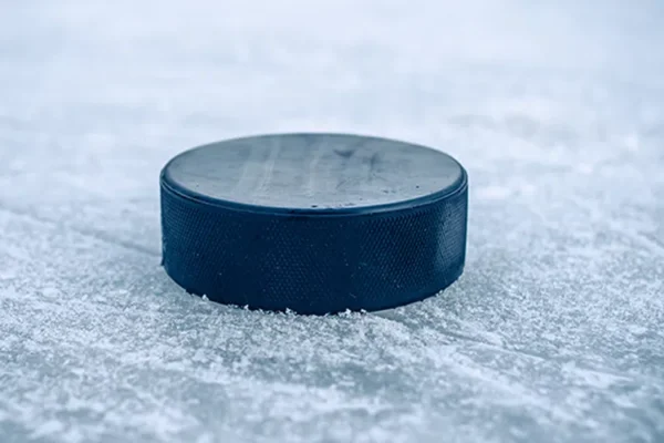 hockey-puck